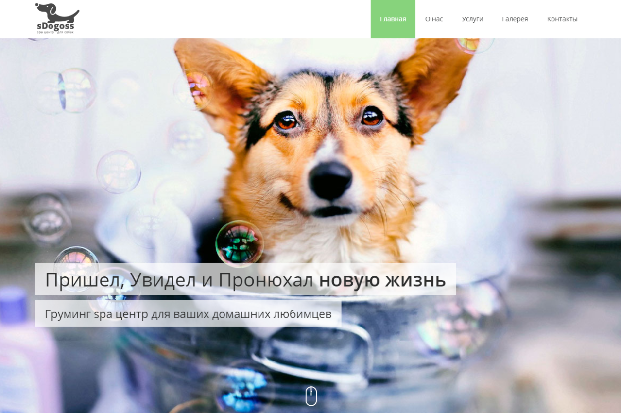 sDoggos - Готовый сайт салона стрижки животных