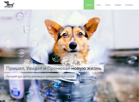 sDoggos - Адаптивный сайт салона красоты для животных